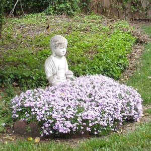 Meet your Posher, Pamela